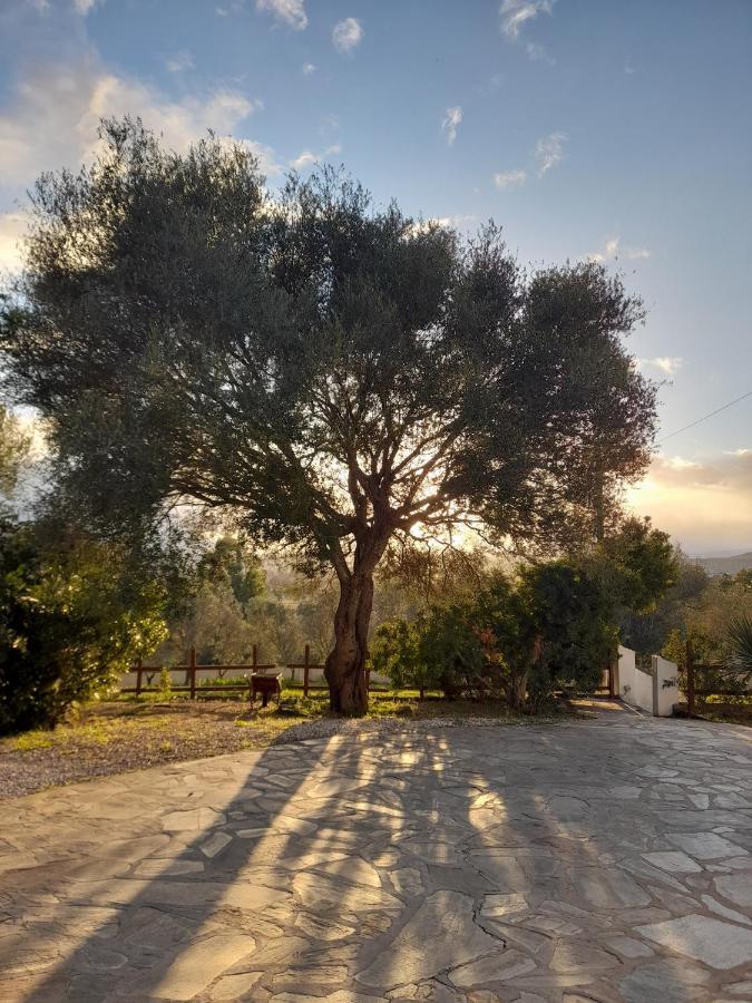 Agriturismo Palas De Serra Country Resort Onifai Экстерьер фото
