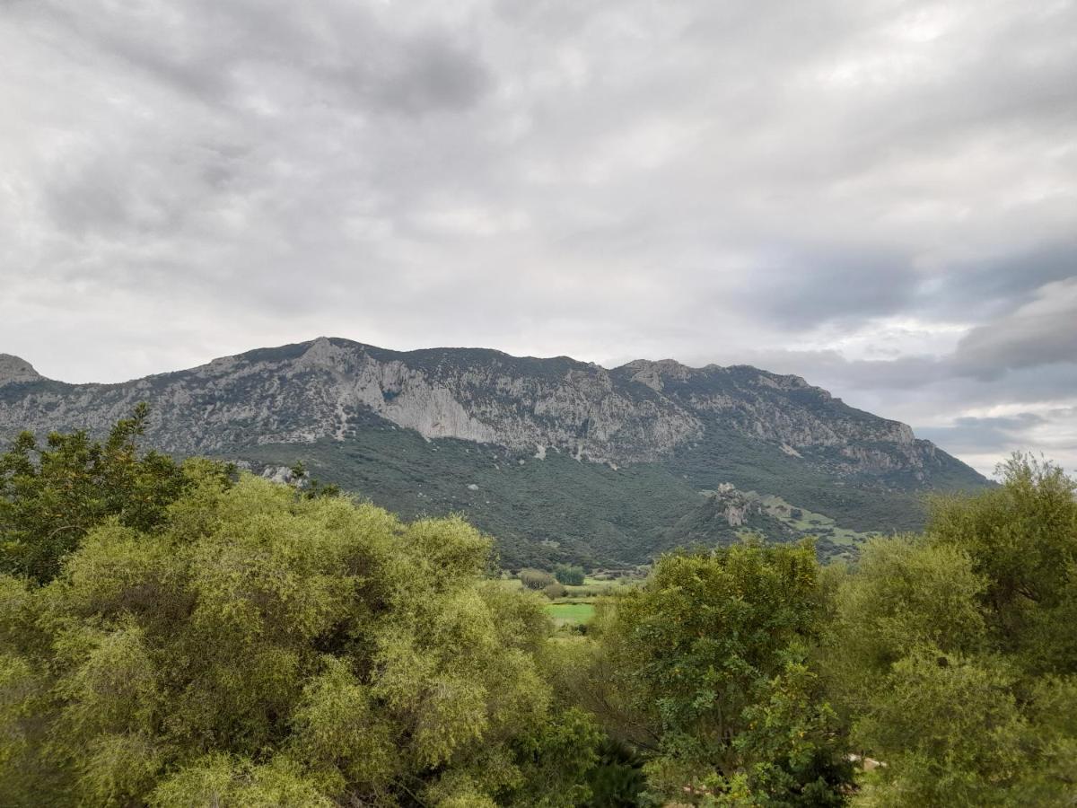 Agriturismo Palas De Serra Country Resort Onifai Экстерьер фото