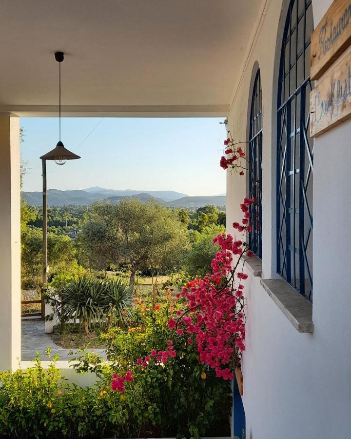 Agriturismo Palas De Serra Country Resort Onifai Экстерьер фото