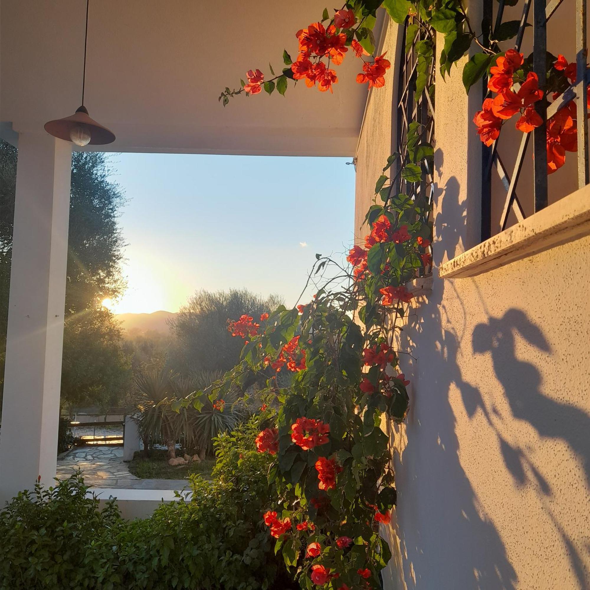 Agriturismo Palas De Serra Country Resort Onifai Экстерьер фото