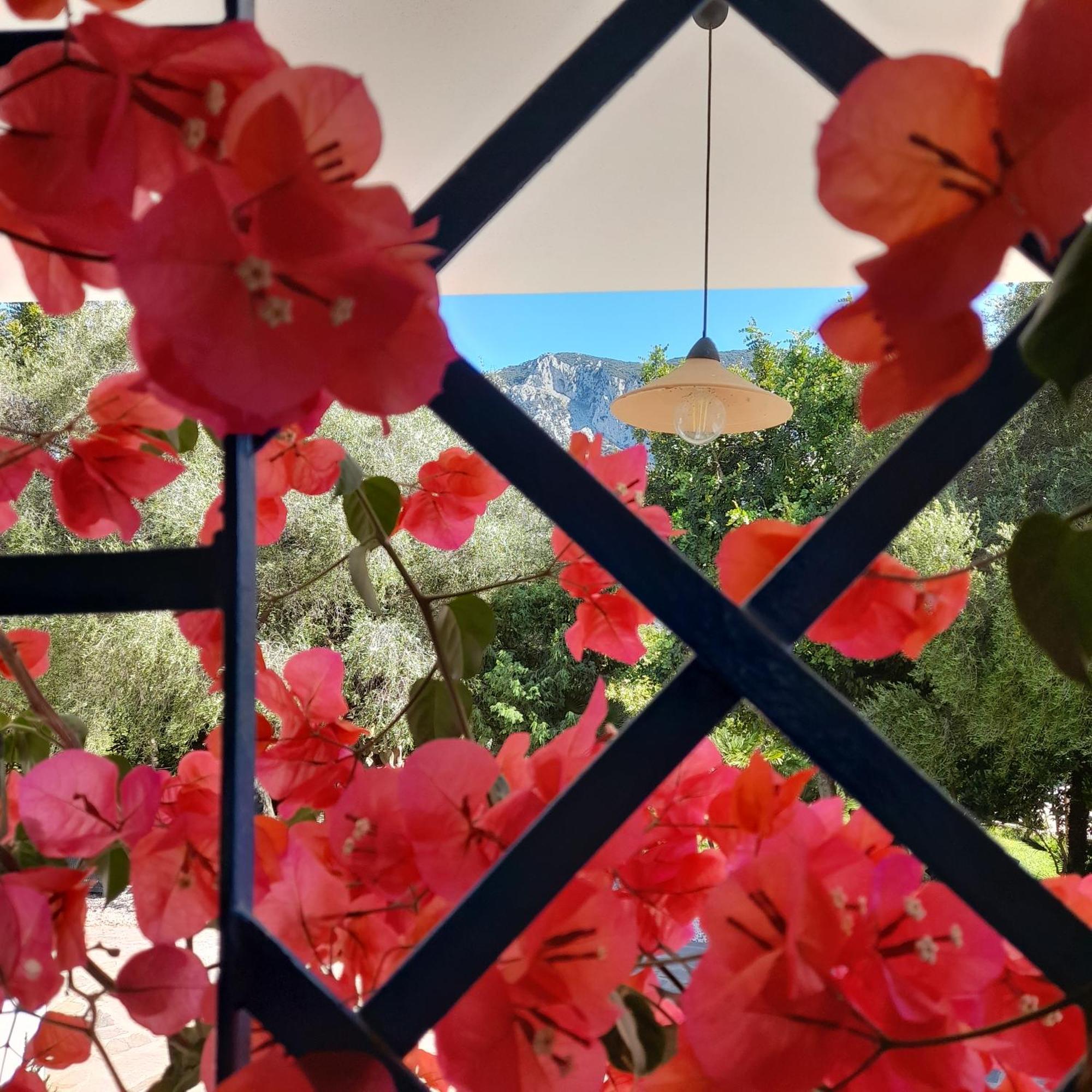 Agriturismo Palas De Serra Country Resort Onifai Экстерьер фото